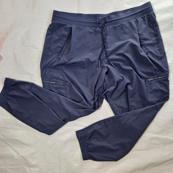 Athleta Violet Blue Venture Pants - Picture 3 of 12